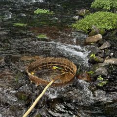 椿野咖啡馆(和顺店) User Photo