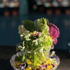 紅鼎艷張用戶圖片