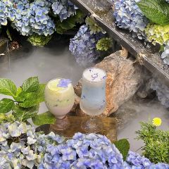 屋顶咖啡·日落甜茶·雪山花园 ·bistro 여행 사진