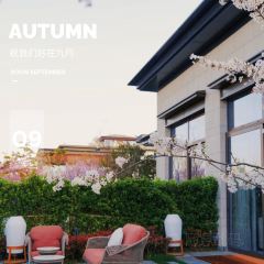 JIN JING GE User Photo