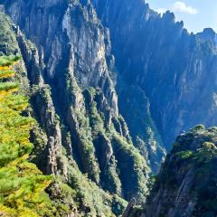 靈山酒釀張用戶圖片