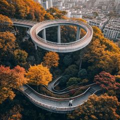 王莊阿咪大牌檔 （省體店）張用戶圖片