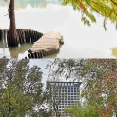 铁锅年代(天台店) 여행 사진