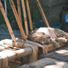 壹号老宅 User Photo