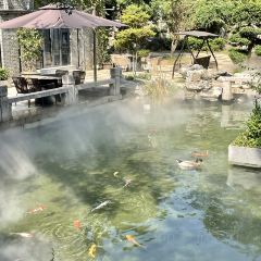 JUBILEE GARDEN User Photo