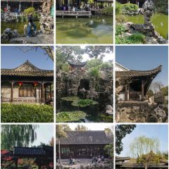 皮包水茶社·早茶·淮揚菜（望月路店）張用戶圖片