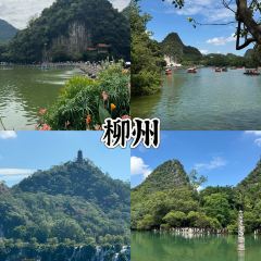 柳州五星步行街怡程酒店·金惠大酒楼(连塘店) User Photo