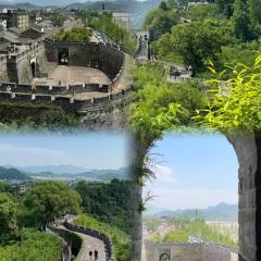 王阿姨梅花糕 User Photo