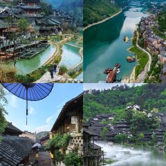 罗记酸汤鱼(凤凰路店) User Photo