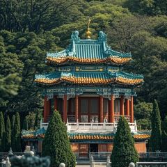 JIN YUE XUAN User Photo