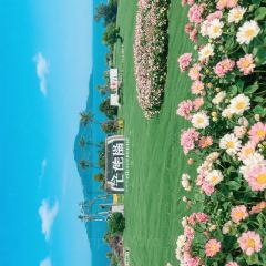 我家特色煲·桐乡煲 User Photo