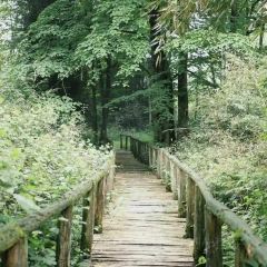 留恋人家(广汉三星堆巴蜀店) User Photo