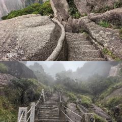 灵山酒酿 User Photo