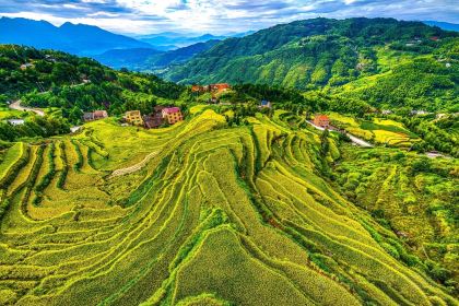 Umeko Taiwanese Cuisine