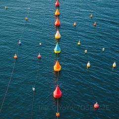 巧克力渔家·平价海鲜家常菜(大象国际店) User Photo