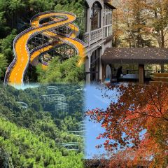 王天顺海苔饼 여행 사진