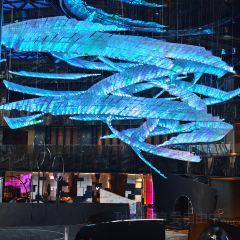 WOOBAR 여행 사진