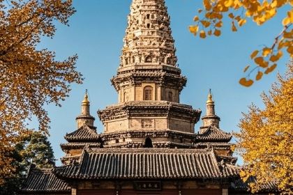 Nan cang kou wang jia chuan tong shao mai guan(zong dian)