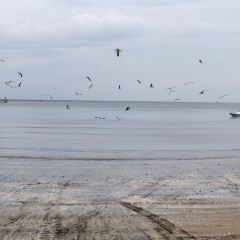 成山头裕福祥渔家乐 User Photo