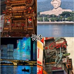 老媽生態餐廳張用戶圖片