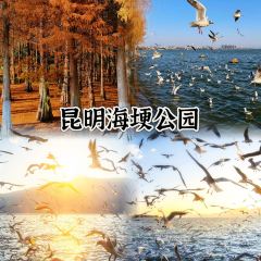 MANFEILONG User Photo