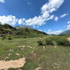 禾木老村山庄 User Photo