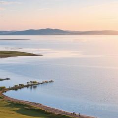 羊味道烤羊腿羊排 User Photo