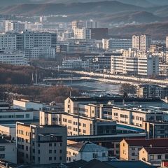 Shunji Traditional Cold Noodles User Photo