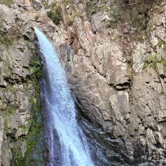 诸暨正宗次坞打面(人民西路店) User Photo