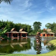 一尺稻田咖啡 User Photo