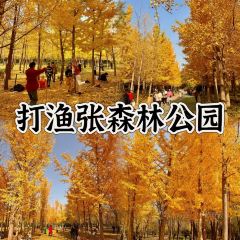 BO SHAN CAI GUAN User Photo