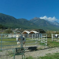 Lijiang Club Med Resorts Amaze Snow Mountain CampTent Restaurant User Photo