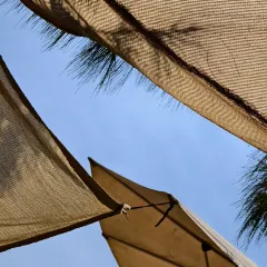 MAO JI HAI XIAN SHA GUO ZHOU User Photo