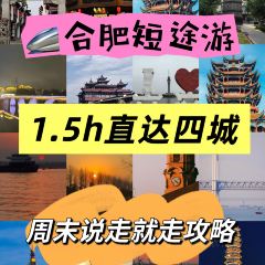 WEIDAOJIA MAMACAI User Photo