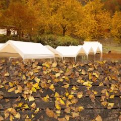 诸暨正宗次坞打面(人民西路店) User Photo