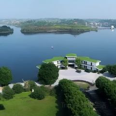 杨氏豆花 User Photo