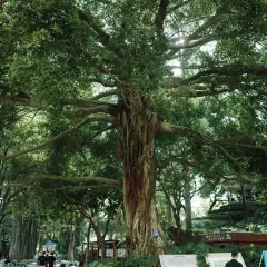 圆圈松跃生烫(新华商城小区店) User Photo