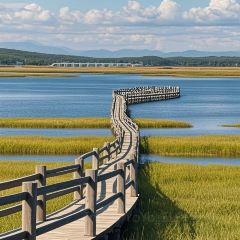 Song ji ba da wan User Photo