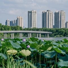 LAO SAN YANG User Photo