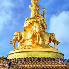 ZHUSANTIANPIYA User Photo