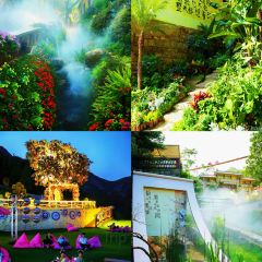 WEIDAOJIA MAMACAI User Photo