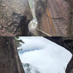 灵山酒酿 User Photo