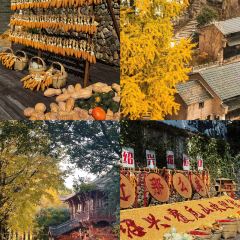 绘璟轩·不醒人室 User Photo