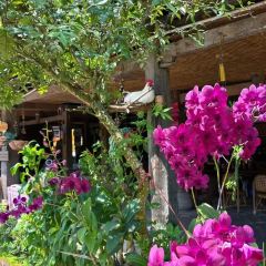 缅花小吃(白象湖店) 여행 사진