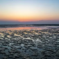 竹林大饭店 User Photo