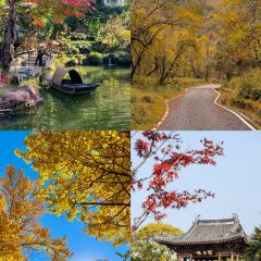 LIN JIA MIN NAN FLAVOR User Photo