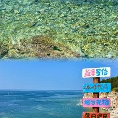 海岛日记(养马岛店) User Photo