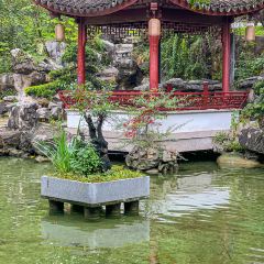 JUBILEE GARDEN User Photo