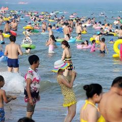 虎婆香草鴨·海南大排檔（賽拉維風情街店）張用戶圖片