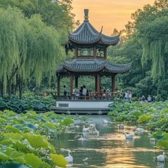 TONG QING LOU User Photo